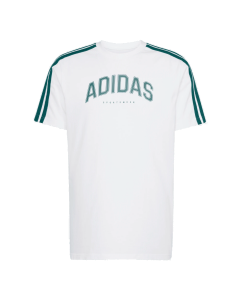 ADIDAS MAJICA M C COLLEG TEE